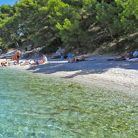 Barba In Trogir - Mittel-dalmatien *